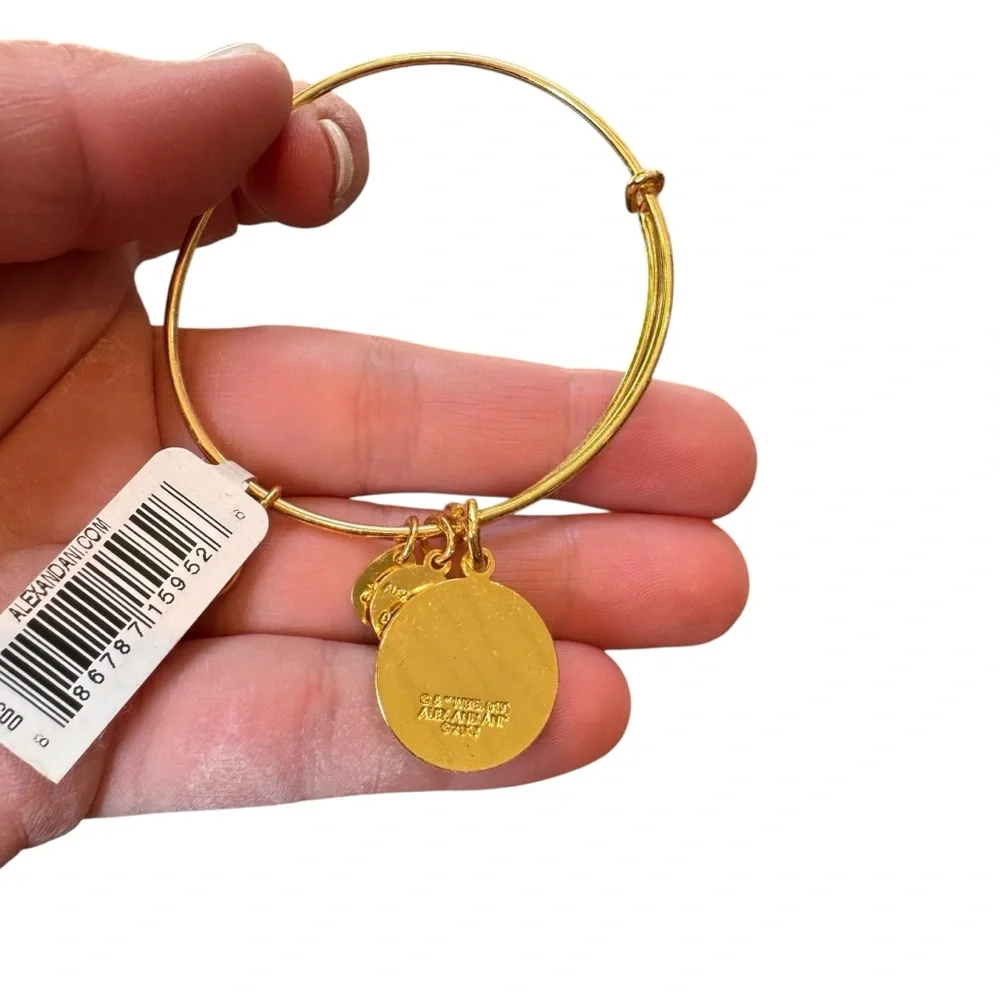 NWT Alex and Ani Harry Potter Bracelet‎